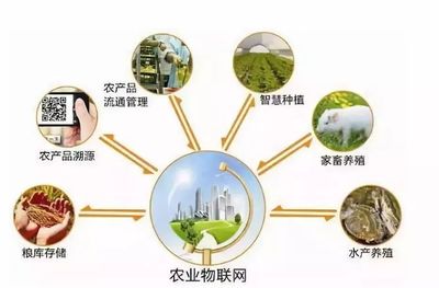 鄉(xiāng)村規(guī)劃設(shè)計(jì)丨中國(guó)農(nóng)業(yè)十大戰(zhàn)略布局 風(fēng)口、獨(dú)角獸與投資熱點(diǎn)深度解析