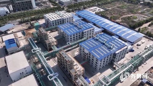 德州延鏈擴群搶占新賽道 今年以來實施125個高端化工項目 驅動化工科技升級